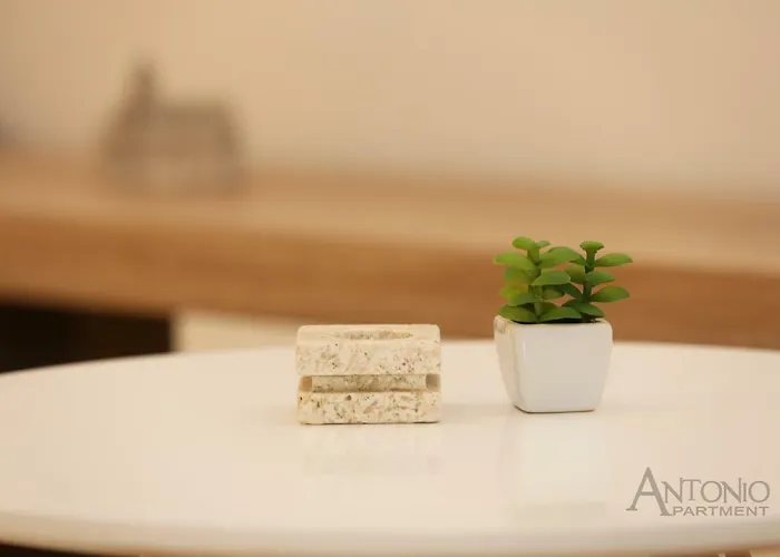 Antonio Apartamento