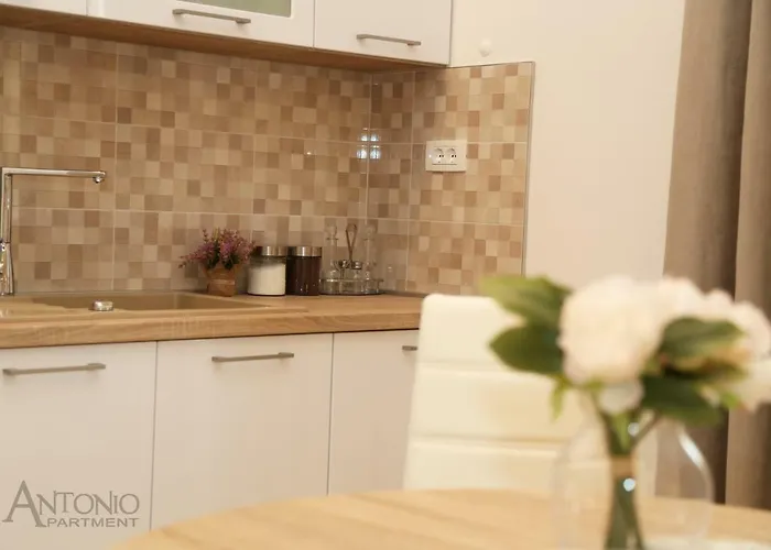 Antonio Apartamento